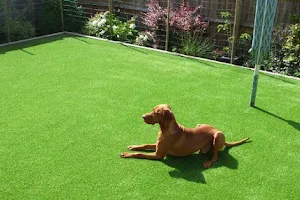 Artificial Grass North East image