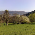 Photo n°7 de l'avis de Jochen.e fait le 11/04/2021 à 12:19 sur le  Landgasthof Bürgerstüble à Donzdorf