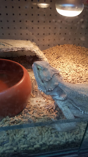 Pet Store «Valley Pets», reviews and photos, 6380 US-85, Fountain, CO 80817, USA