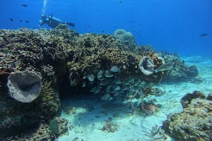 Plongée Grand Cozumel Diving image