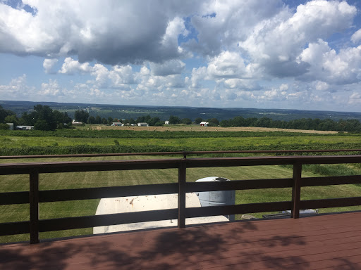 Bistro «Red Newt Cellars Winery and Bistro», reviews and photos, 3675 Tichenor Rd, Hector, NY 14841, USA