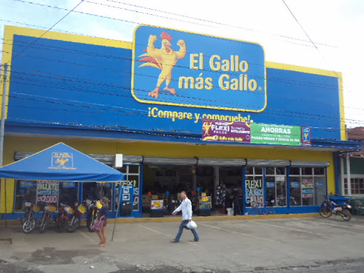 Tiendas para comprar estufas leña Managua