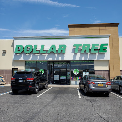 Dollar Store «Dollar Tree», reviews and photos, 168 Glen Cove Rd #C, Carle Place, NY 11514, USA