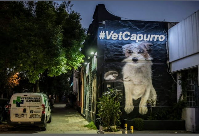 Veterinaria Capurro & Peluquería Canina - Veterinario