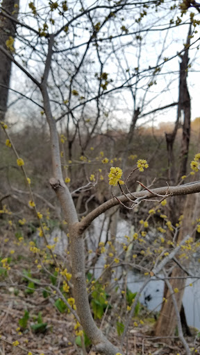 Museum «Harry C Barnes Memorial Nature Center», reviews and photos, 175 Shrub Rd, Bristol, CT 06010, USA