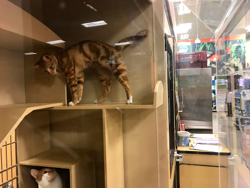 Pet Supply Store «PetSmart», reviews and photos, 400 Universal Dr N, North Haven, CT 06473, USA