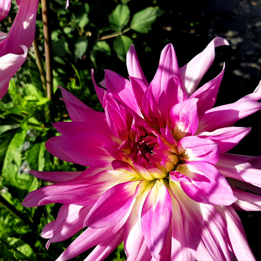 Towing Service «MotorCoach Maintenance & RV Repair», reviews and photos, 62 Rock Rd, Belgrade, MT 59714, USA