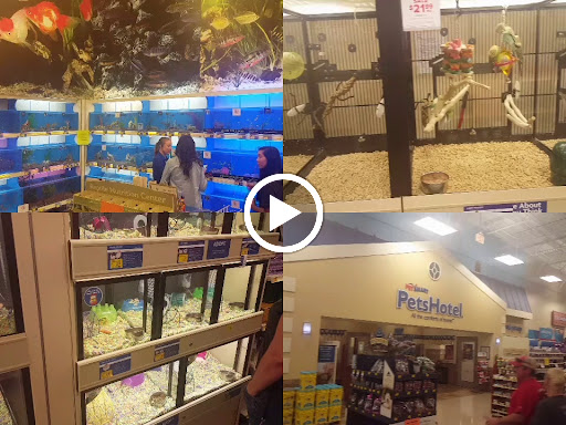 Pet Supply Store «PetSmart», reviews and photos, 2901 Texas Sage Trail, Fort Worth, TX 76177, USA