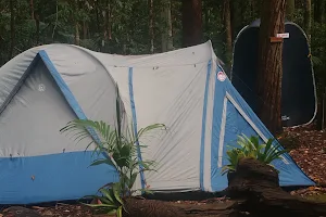 Laniakea Rainforest Camp (closed for renovations) image