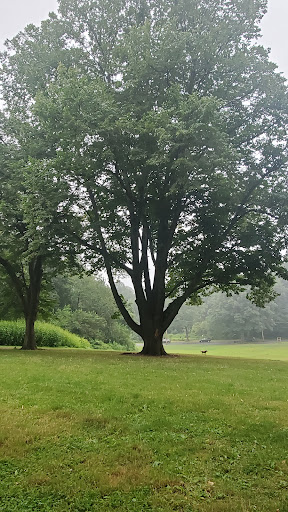 Park «Crocheron Park», reviews and photos, 214-41 34th Ave, Bayside, NY 11361, USA