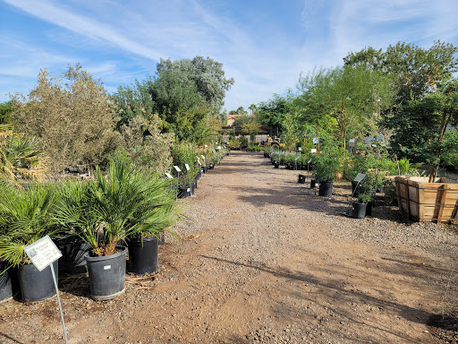 Elgin Nursery & Tree Farms