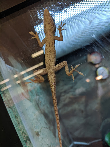 Pet Supply Store «Petco Animal Supplies», reviews and photos, 1901 Madison Ave #610, Mankato, MN 56001, USA