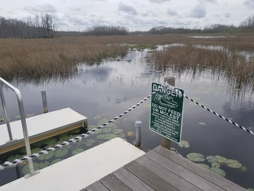 Nature Preserve «Grassy Waters Preserve», reviews and photos, 8264 Northlake Blvd, West Palm Beach, FL 33412, USA