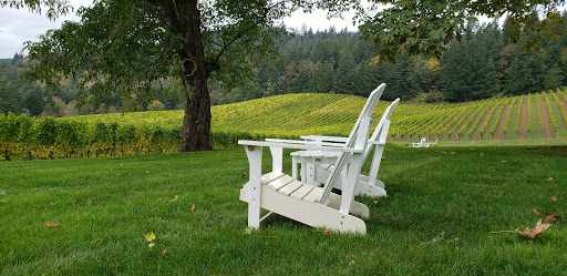 Winery «David Hill Vineyards & Winery», reviews and photos, 46350 NW David Hill Rd, Forest Grove, OR 97116, USA