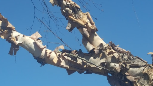 Park «Lenora Park», reviews and photos, 4515 Lenora Church Rd, Snellville, GA 30039, USA