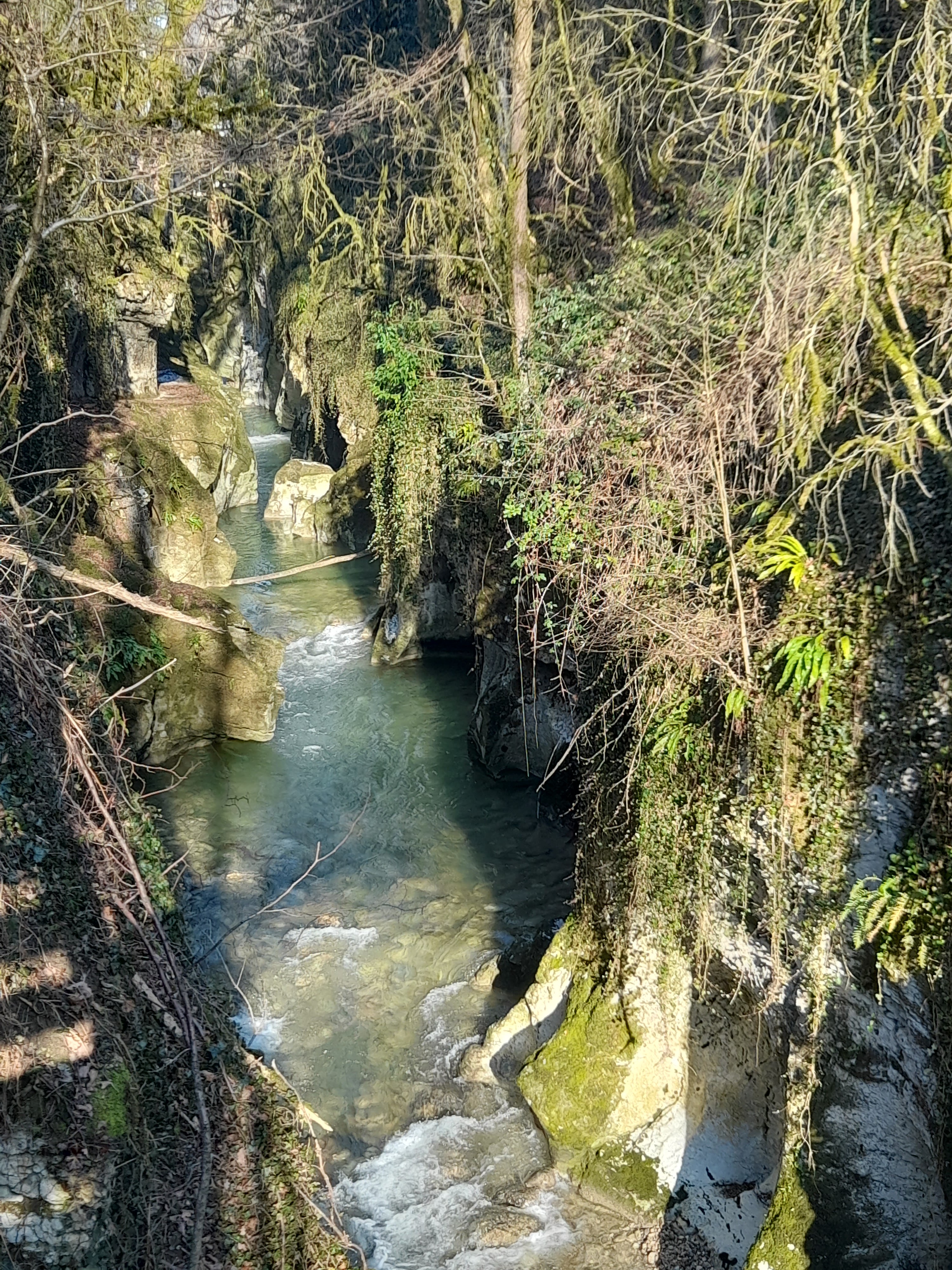 Photo n° 7 de l'avis de Julien.o fait le 16/01/2022 à 12:27