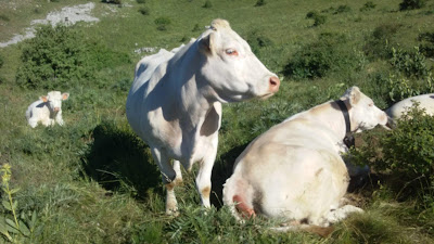 Pic de l’Aiguille à Laye