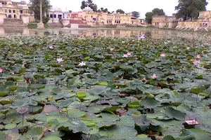 Devyani Kund and temples, Sambhar lake India image