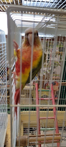 Pet Groomer «Grove City Agway & Pets», reviews and photos, 111 Breckenridge St, Grove City, PA 16127, USA