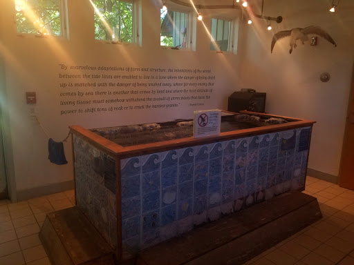 Natural History Museum «George B. Dorr Museum of Natural History», reviews and photos, 105 Eden St, Bar Harbor, ME 04609, USA