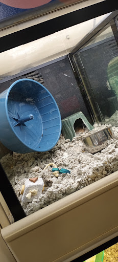 Pet Supply Store «PetSmart», reviews and photos, 1285 Johnson Ferry Rd, Marietta, GA 30068, USA