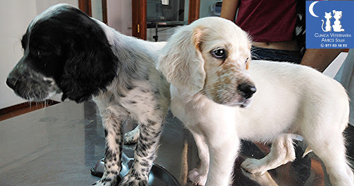 Clínica Veterinaria Amics Sóller en Sóller