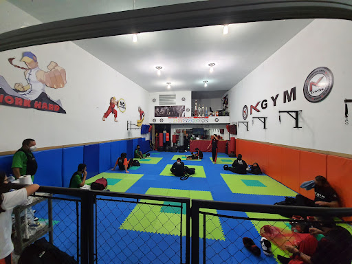 NK GYM JiuJitsu, Martial Arts & Fitness