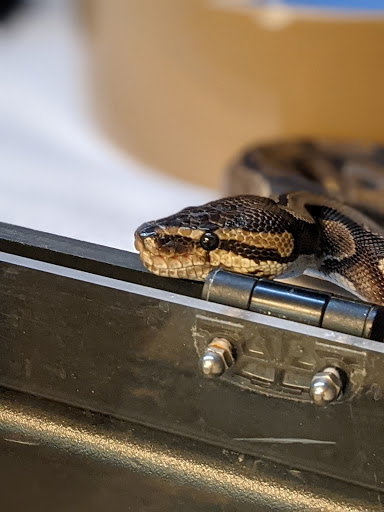 Pet Supply Store «Pet Bazaar», reviews and photos, 490 FL-436, Casselberry, FL 32707, USA