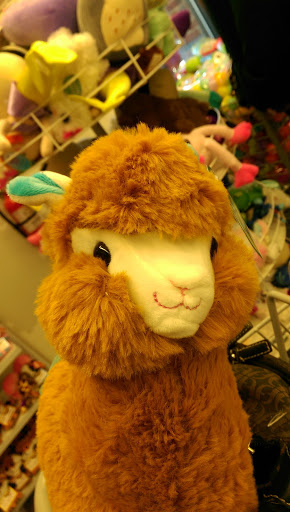 Variety Store «Five Below», reviews and photos, 12080 Jefferson Ave #500, Newport News, VA 23606, USA