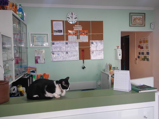 Intersilpet Clínica Veterinária em São Paulo - SP
