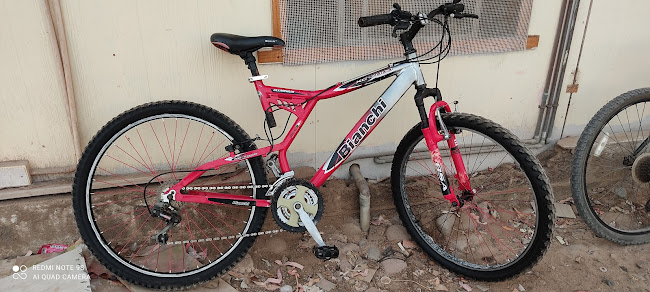Opiniones de Bicicletas Wilson en Arica - Tienda de bicicletas