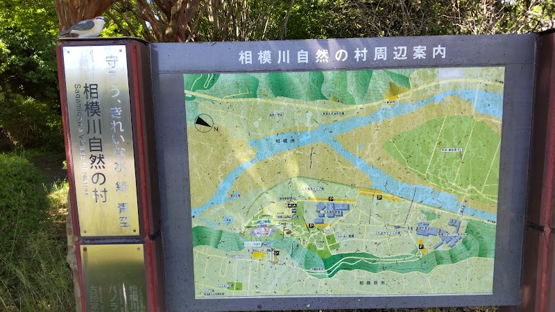 相模川自然の村公園 展望台