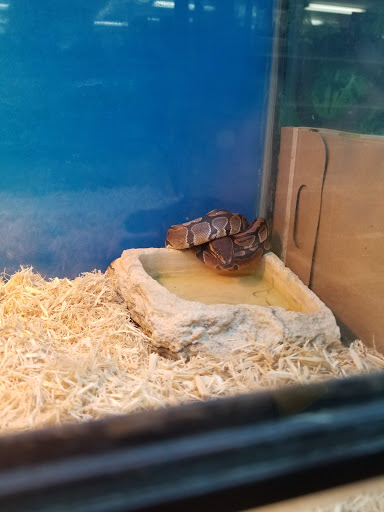 Pet Store «V.I. Pets», reviews and photos, 11975 E Lakewood Blvd, Holland, MI 49424, USA
