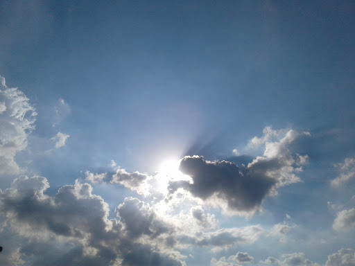 Auto Body Shop «Sewell Collision Center of Houston», reviews and photos, 111 Stage Runn Dr, Houston, TX 77090, USA