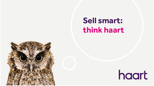 haart estate and lettings agents Bedford