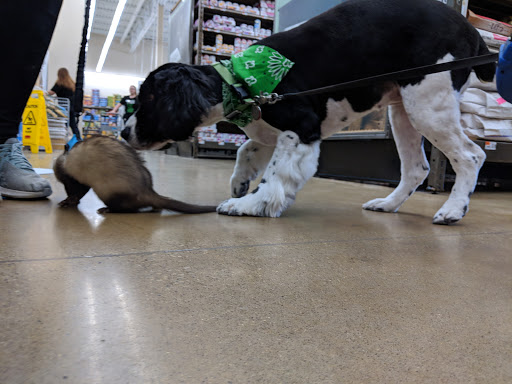 Pet Supply Store «Pet Supplies Plus», reviews and photos, 1213 Mentor Ave, Painesville, OH 44077, USA