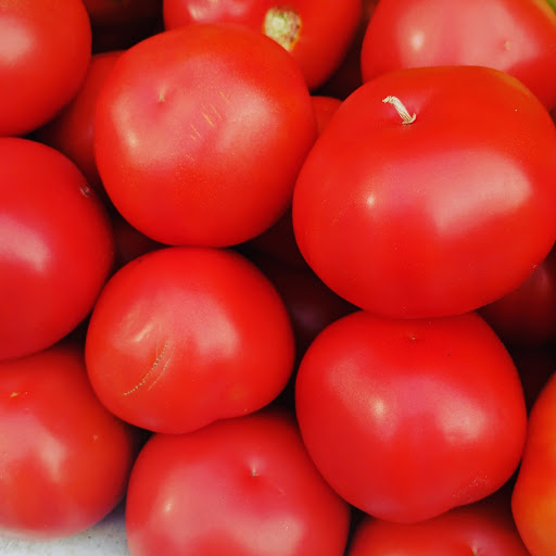 Recreation Center «Arlington Mill Community Center», reviews and photos, 909 S Dinwiddie St, Arlington, VA 22204, USA