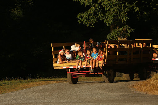 Old Cedar Campground