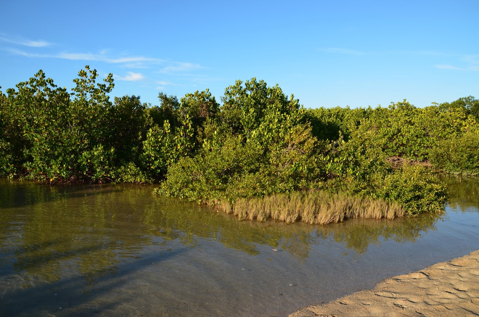 Valokuva Plage Bobbyista. villi alue