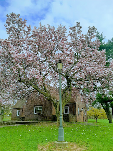 Park «Roosevelt Park», reviews and photos, Roosevelt Dr, Edison, NJ 08837, USA