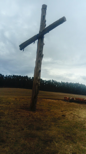http://www.alvasur.cl/