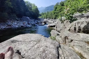 Torrente Chiusella image