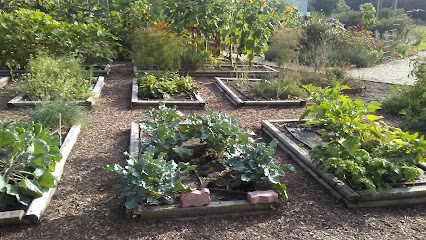 Pocomoke Community Garden