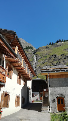 Le Sabot de Vénus à Champagny-en-Vanoise
