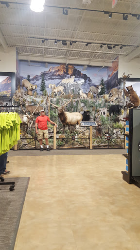 Shopping Mall «Asheville Outlets», reviews and photos, 800 Brevard Rd, Asheville, NC 28806, USA