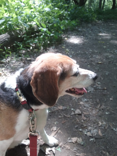 Nature Preserve «Crosby Farm Regional Park», reviews and photos, 2595 Crosby Farm Rd, St Paul, MN 55116, USA
