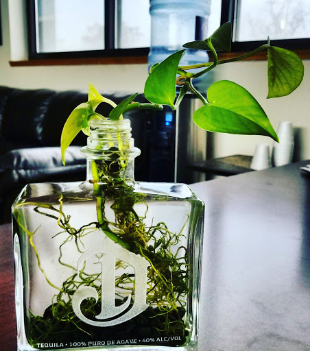 Used Car Dealer «Below Bluebook Autos LLC», reviews and photos, 2451 Paxton St, Harrisburg, PA 17111, USA