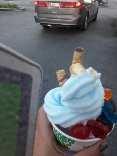 Frozen Yogurt Shop «Yogurtland», reviews and photos, 1000 N Western Ave #102, San Pedro, CA 90732, USA