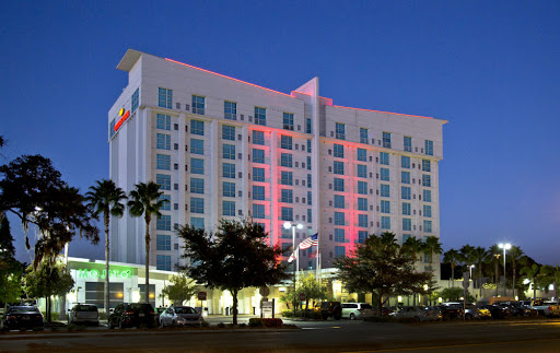 Alba Hilton Tampa Westshore