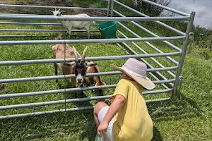 Triple J Stables & Petting Zoo image